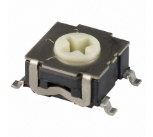 RTE0300G03 Image.