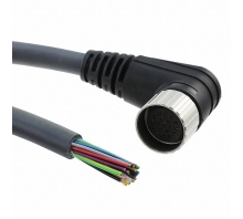 EW1900127 BK359 Image.