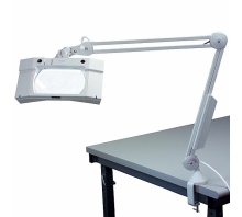 17845LG Image.